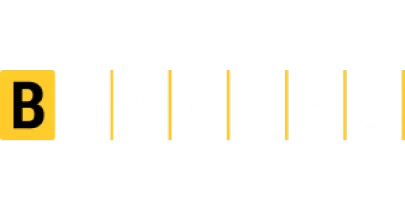 partners who work with Bounty game